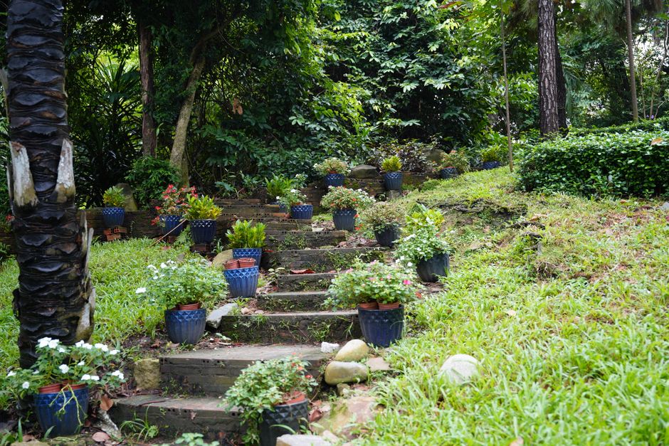 Idées créatives pour aménager votre jardin avec style et simplicité