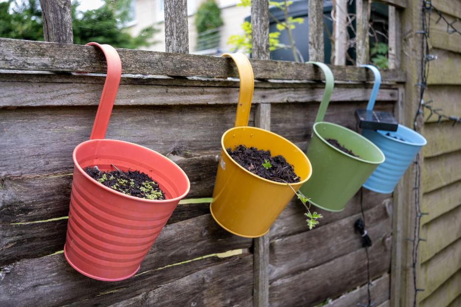 Pergola ombragée avec plantes grimpantes.